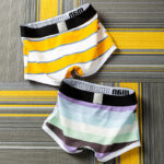 Boxer Men  Boxer Briefs Stripes  Underpants