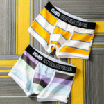 Boxer Men  Boxer Briefs Stripes  Underpants