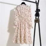 Floral Print Women Dress